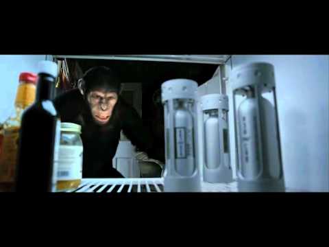 მაიმუნების პლანეტის აჯანყება