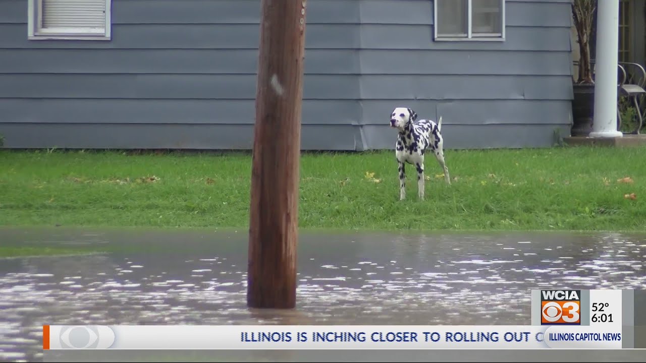 Cissna park deals with flooding YouTube