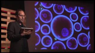 Human Cultural Evolution - An App for That?: Scott Snibbe at TEDxMonterey