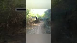 que capte en sgo del estero???#raro #duendesreales #miedo