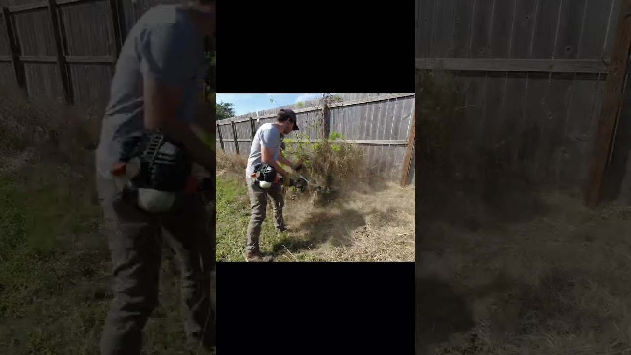 Конфронтация с разгневанным соседом