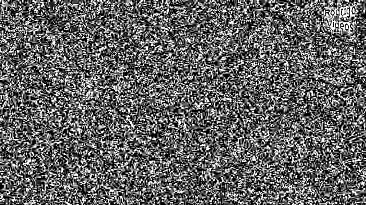 Gatos engraçados e Loucos Random #3 - Funny and Crazy Cats