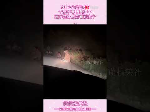 When Driving On A Dark Road At Night Never Stop Your Car Randomly Or Else You Might See This 