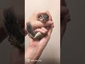 にっこりするシマリスの破壊力【Tod】