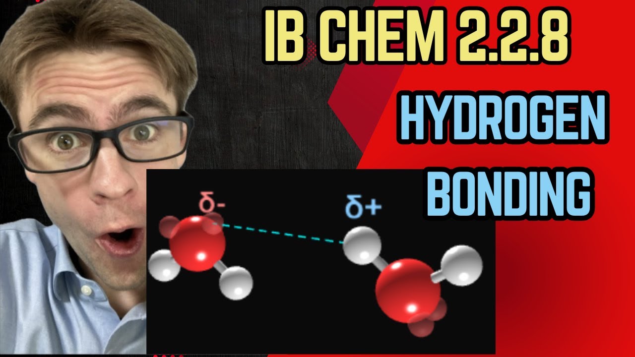 Hydrogen Bonding (IB Chemistry SL, Structure 2.2.8)