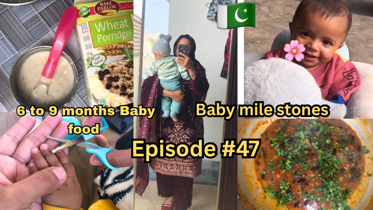 6 to 9 months baby food 