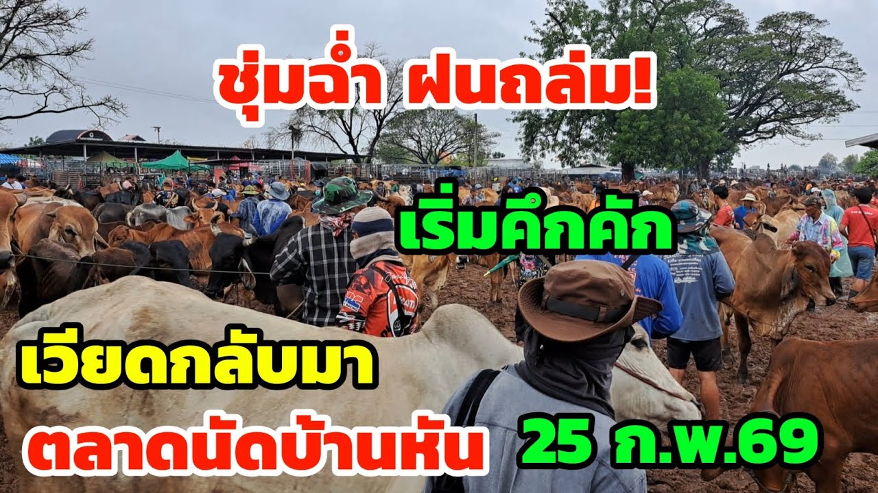เริ่มคึกคัก‼️25 ก.พ.69 ตลาดนัดบ้านหัน เวียดเริ่มกลับมา บรรยากาศชุ่มฉ่ำฝนตกหนักทั้งคืน...