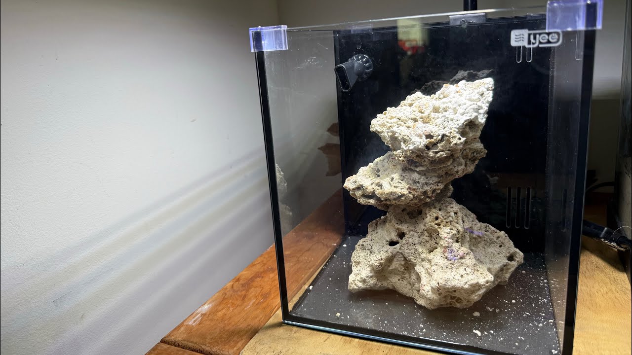 ULTIMATE BUDGET PICO REEF TANK 25$!?!?!?!?