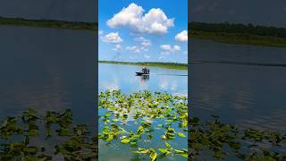 Airboat’s blowing by on this beautiful day #lake #water #prop #boat