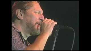 MARSHALL TUCKER   Fire on the Mountain  2007 Live chords