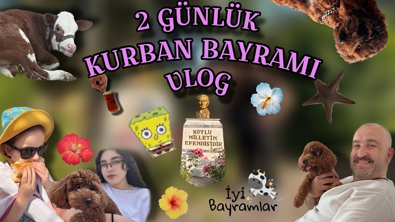 Kurbansal Bayramsal Vlogsal🤩🐮🐏 / Asya Tanem