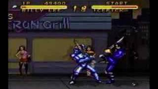 Double Dragon 5: The Shadow Falls