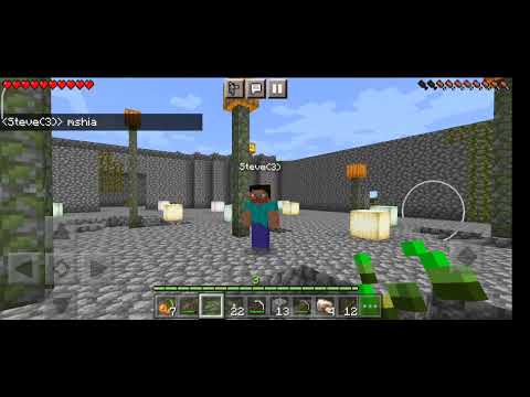 ჩემ სერვერზე გადავიღებთ სურვაივალლსსს