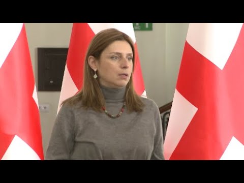 მე ვერ გეტყვით რა ინიციატივებზე საუბრობს მიხეილ სააკაშვილი - თეონა აქუბარდია