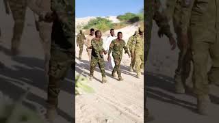 #Taliye Shuute #breakingnews #somalicommunity #developingstory