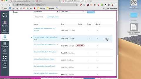 How to see comments and annotations on Canvas