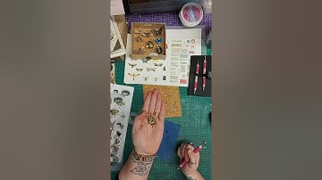 live demo of the Museum cabinet insects and specimen slides