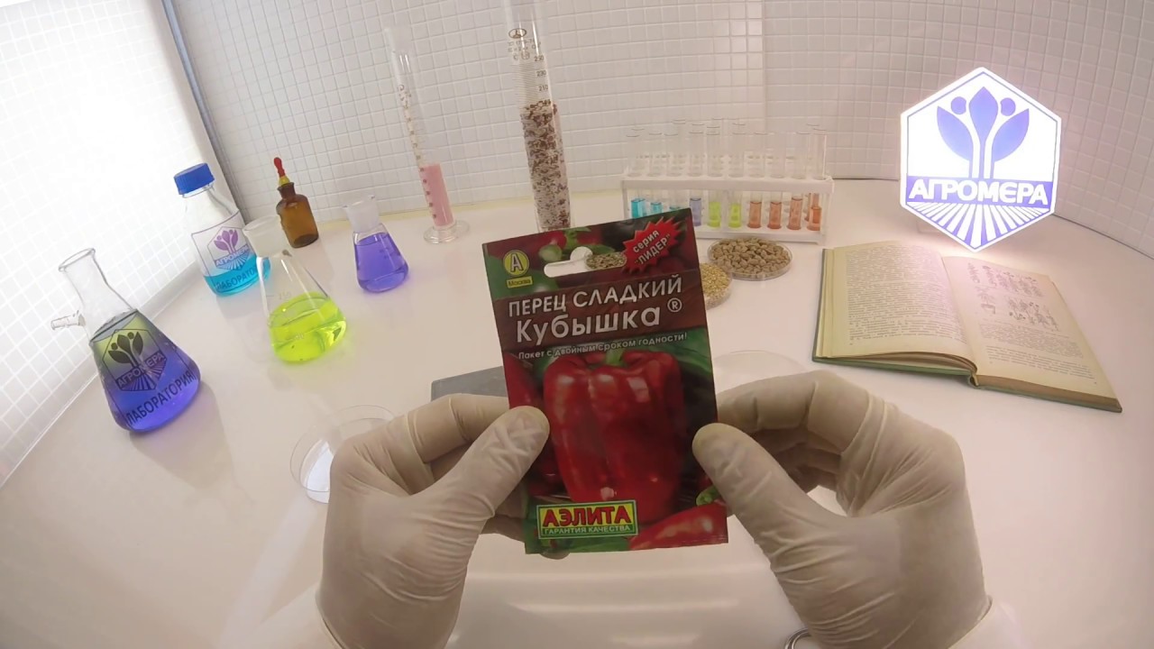 Перец сладкий Кубышка. Аэлита
