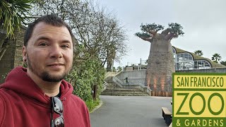 New Construction at the San Francisco Zoo!! Updates March 2024