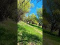 Красная Шапочка #земфира #астрахань #весна #music