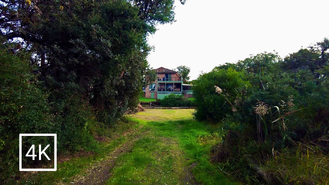 Frankston Urban Walk | Kananook Creek Bush Walk Trail to Eel Race Road | Urban Nature Ambience