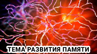 Как улучшить зрительную память screenshot 4