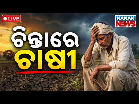 🔴ଚିନ୍ତାରେ ଚାଷୀ | Odisha Fertilizer Crisis: Farmers Worried Over Severe Fertilizer Shortage