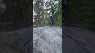 Gas gas 125