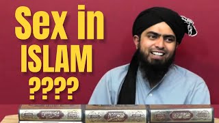 Celebrity Sex In Islam  Engineer Muhammad Ali Mirza Net Worth