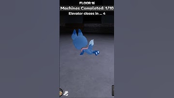 ECLIPSE DOING THE FLOP IN DANDY