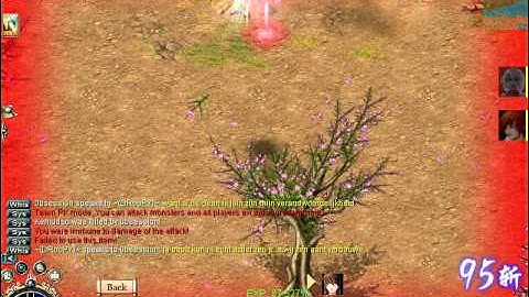 Conquer online catching some tao cheating in gwa ?