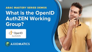 What is the OpenID AuthZEN Working Group?