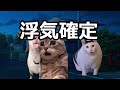 【猫ミーム】メンヘラ大集合【総編集】