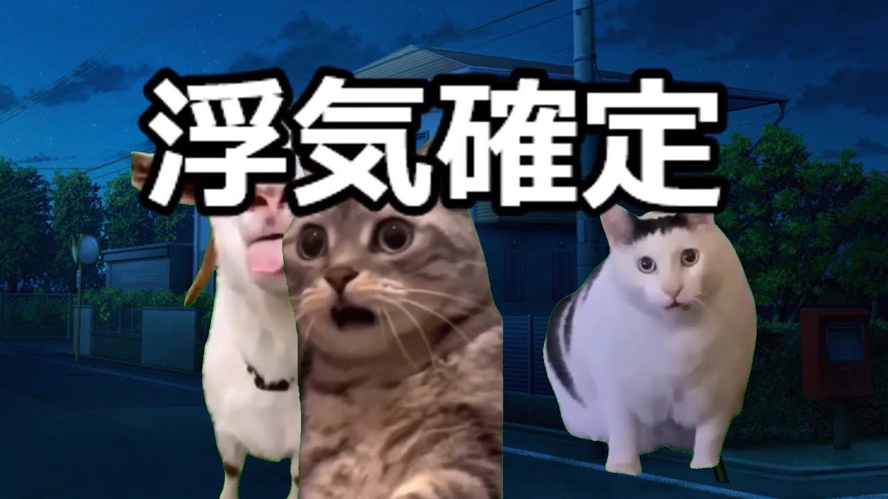 猫ミーム】メンヘラ大集合【総編集】 - YouTube