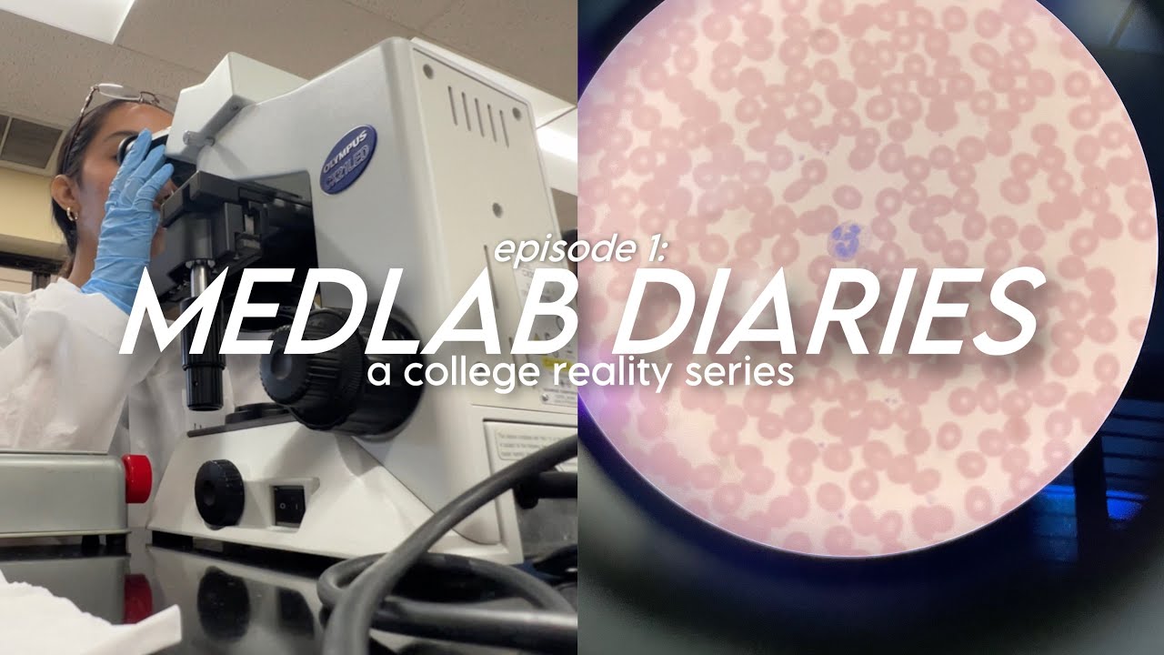 entering a medical lab program in Hawaii 🥼 | MedLab Diaries #1 - YouTube