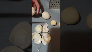 Cutting Eggs in Half