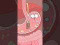 How does konjac help you lose weight? #funny #shorts #hot