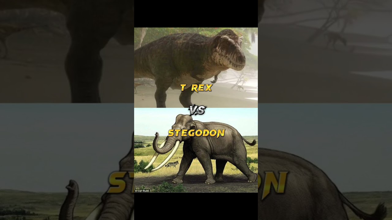 T rex vs Prehistoric elephants
