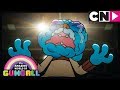 Gumball | The Society | Cartoon Network