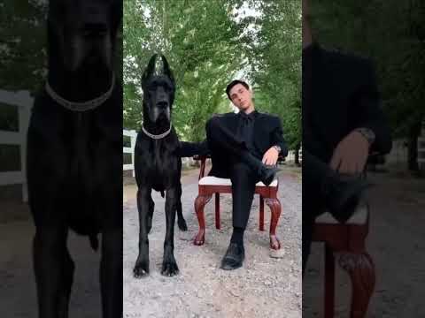 #дуэт #шуточное #юмор