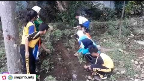 FUN AND EDUCATION CAMP