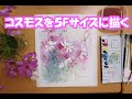 【透明水彩画】コスモスを5Ｆサイズに描く