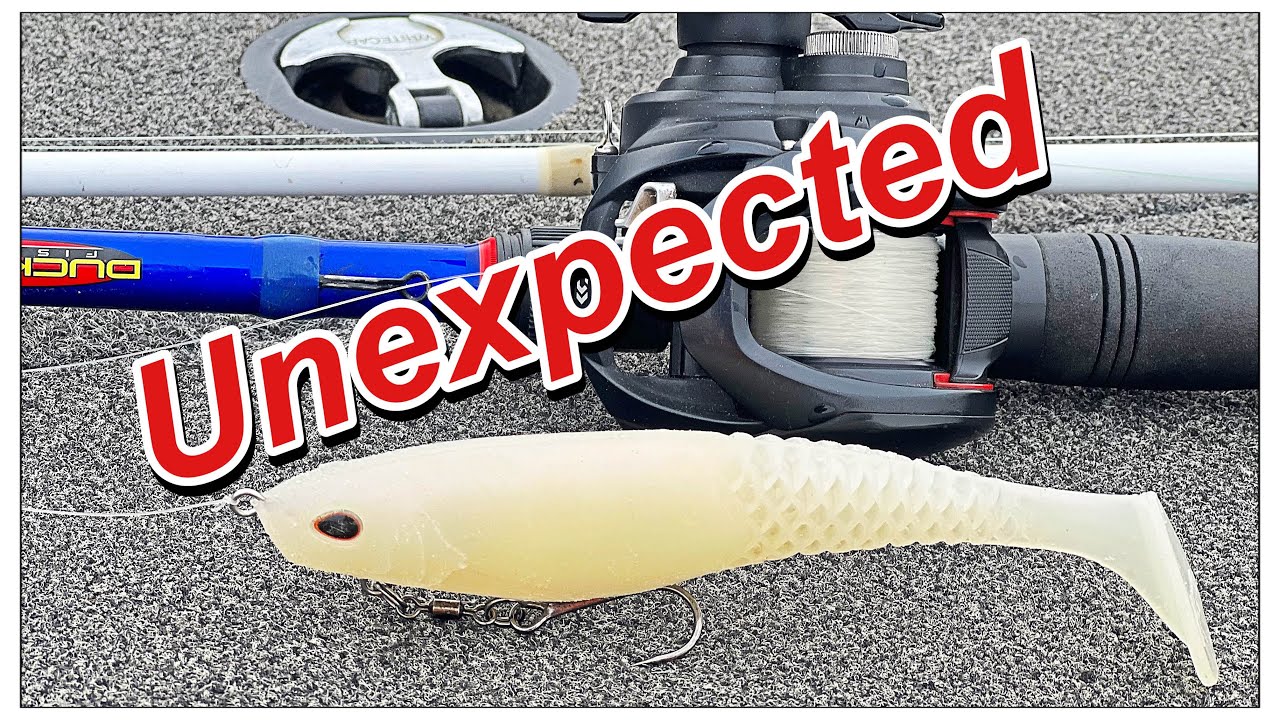 The Truth About The Berkley Cullshad: What's Wrong With It?