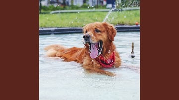 Pulsating Music for Separation Anxiety