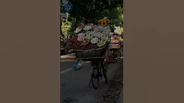 ياللي ابتديت الحب معاك مياده الحناوي 