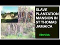 PETERS-FIELD: THE LARGEST SLAVE PLANTATION IN ST THOMAS, JAMAICA (Hidden in plain sight) VLOG #14