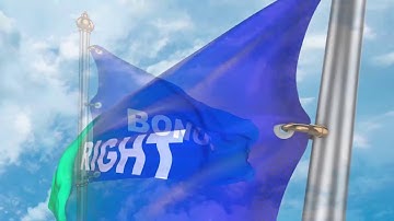 3D FLAG V1 ARAB COUNTRIES | After Effects Project Files - Videohive template