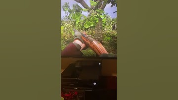 Weird glitch in rdr2 with Spanish Springfield rifle while dry firing