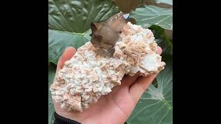 Video preview: High-Lustre Smoky Quartz with Feldspar — Yunxiao, Fujian | Natural Mineral Specimen