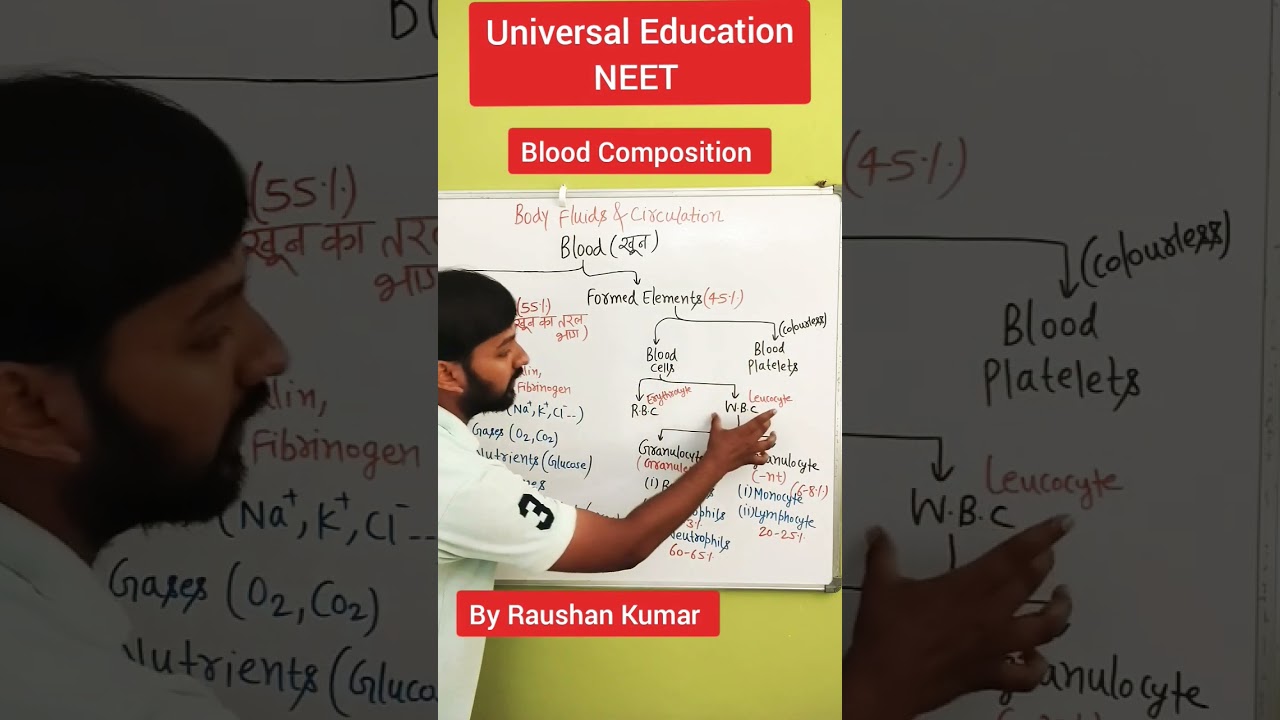 Blood Composition ll Body Fluids & Circulation ll NEET ll Class 11th ll By Raushan Kumar